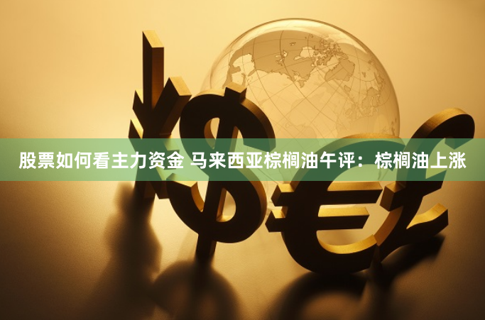 股票如何看主力资金 马来西亚棕榈油午评：棕榈油上涨
