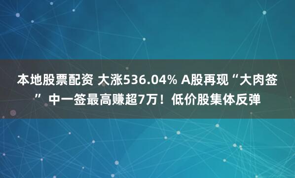 本地股票配资 大涨536.04% A股再现“大肉签” 中一签最高赚超7万！低价股集体反弹