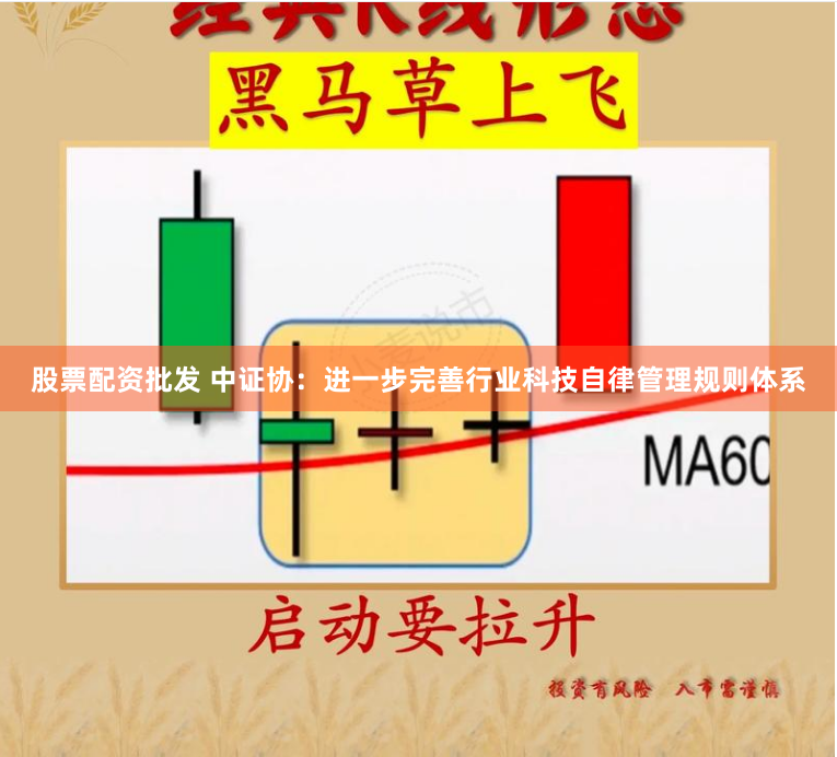 股票配资批发 中证协：进一步完善行业科技自律管理规则体系