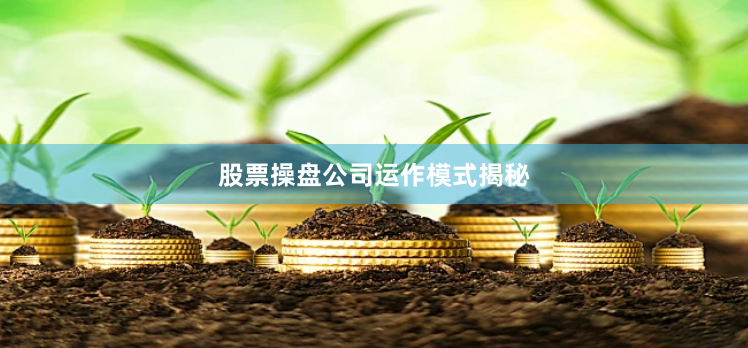 股票操盘公司运作模式揭秘